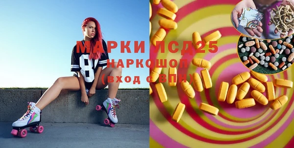 PSILOCYBIN Алзамай